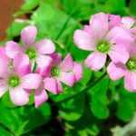 おしゃれが続かない おしゃれが面倒 という悩みの解決方法 大人のおしゃれ塾 ブログ